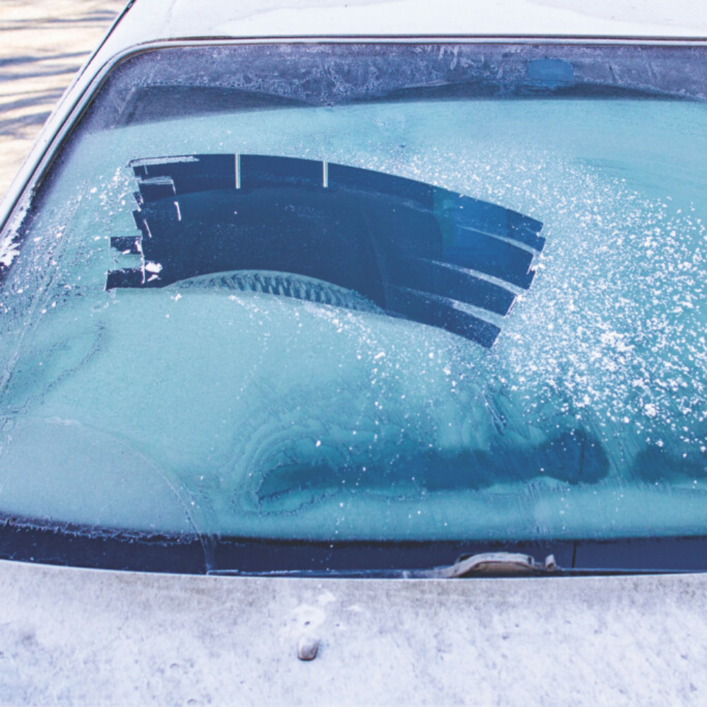 ❄️ 'Tis the Season - Cold Weather Media That Delivers Every Time